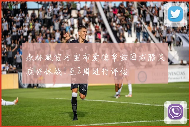 森林狼官方宣布爱德华兹因右膝炎症将休战1至2周进行评估