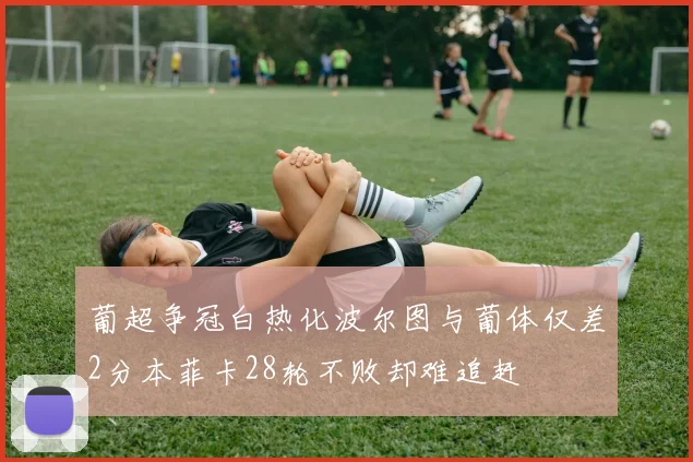 葡超争冠白热化波尔图与葡体仅差2分本菲卡28轮不败却难追赶