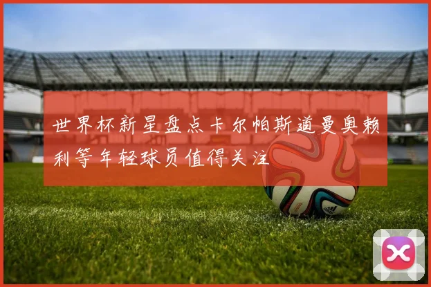 世界杯新星盘点卡尔帕斯道曼奥赖利等年轻球员值得关注