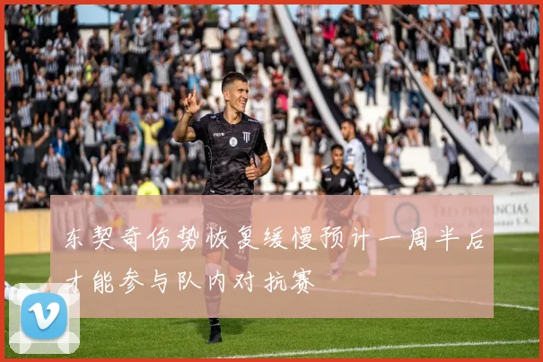 东契奇伤势恢复缓慢预计一周半后才能参与队内对抗赛