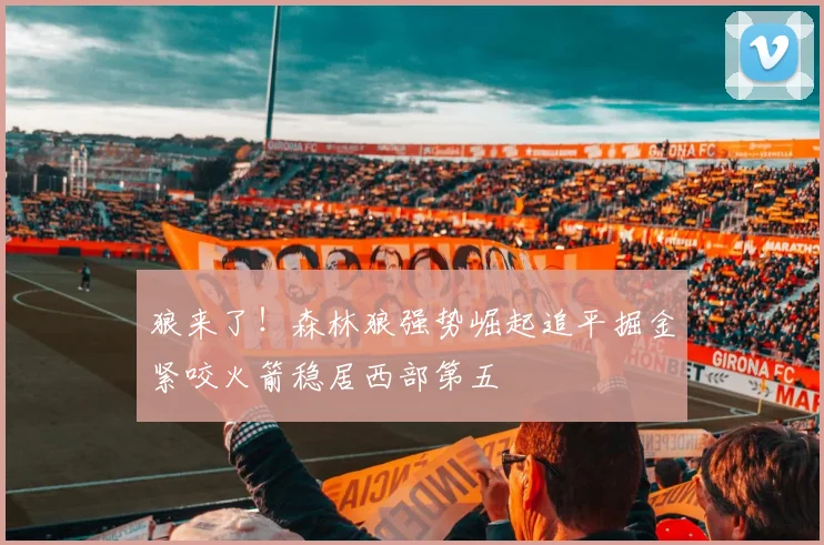 狼来了！森林狼强势崛起追平掘金紧咬火箭稳居西部第五