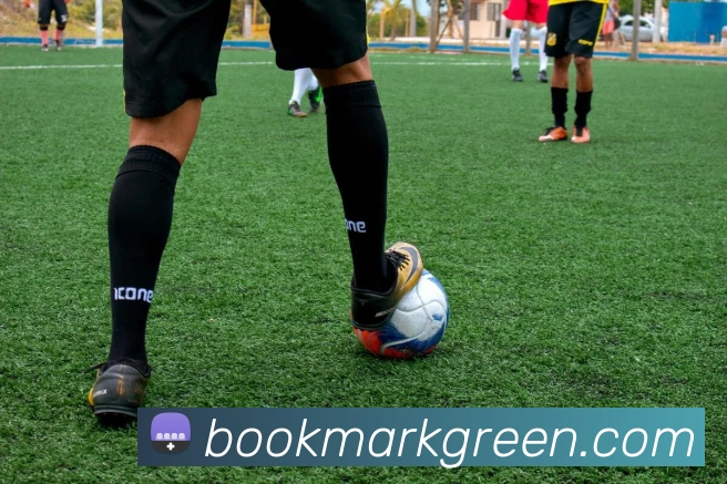 安博app官网登录入口APP 封面图